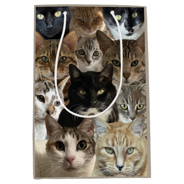 Cat Lover Gift Bag (Front)