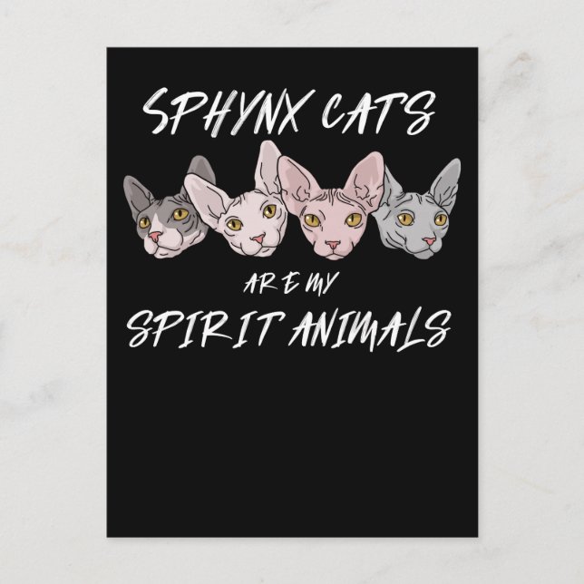 Cat Lover Gift Spirit Animal Sphynx Cat Postcard (Front)