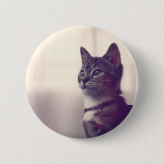 Cat lover gifts, cat pinback buttons