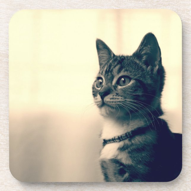 Cat lover gifts, cat themed gifts, cat coaster (Front)