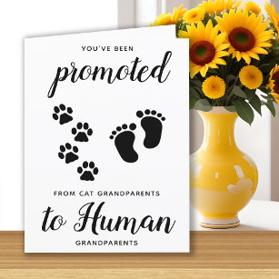 Cat Lover Grandparents Pregnancy Announcement Card