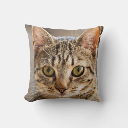 Cat Lover Modern Pet Photo Personalized Tigger Throw Pillow