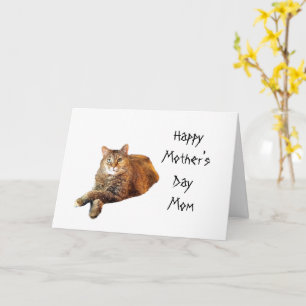 CAT LOVER MOTHER'S DAY  CARD