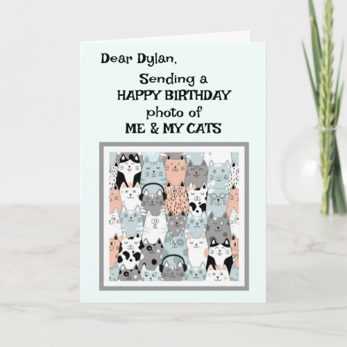 Cat Lover Owner Fun Happy Birthday Greeting Card
