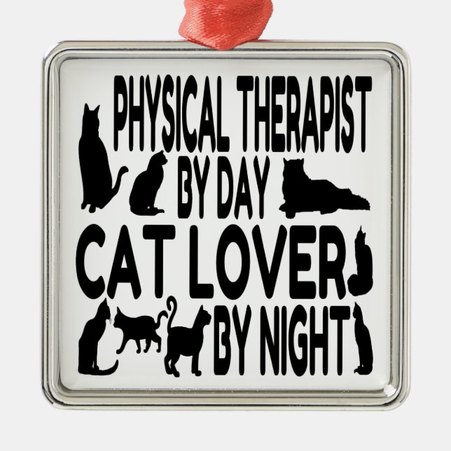 Cat Lover Physical Therapist Metal Ornament (Front)