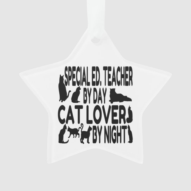 Cat Lover Special Education Teacher Ornament (Front)