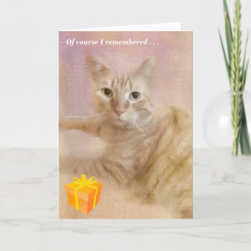 Cat Lover Special Message Birthday Card