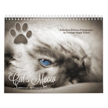 Cat Lover The Cat's Meow 12 Month Calendar by PAWSitivelyPETs at Zazzle