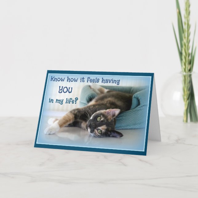 Cat Lover Valentine Valentine's Day Card (Front)