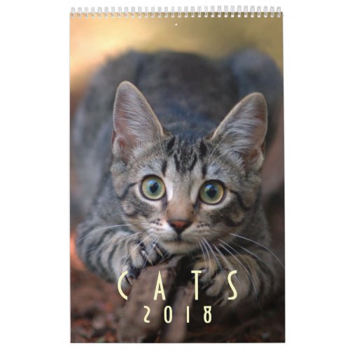Cat Lover Wall Calendar 2018