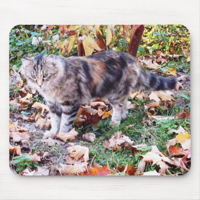 Cat Lovers Autumn Cat Photo Mouse Pad (Front)