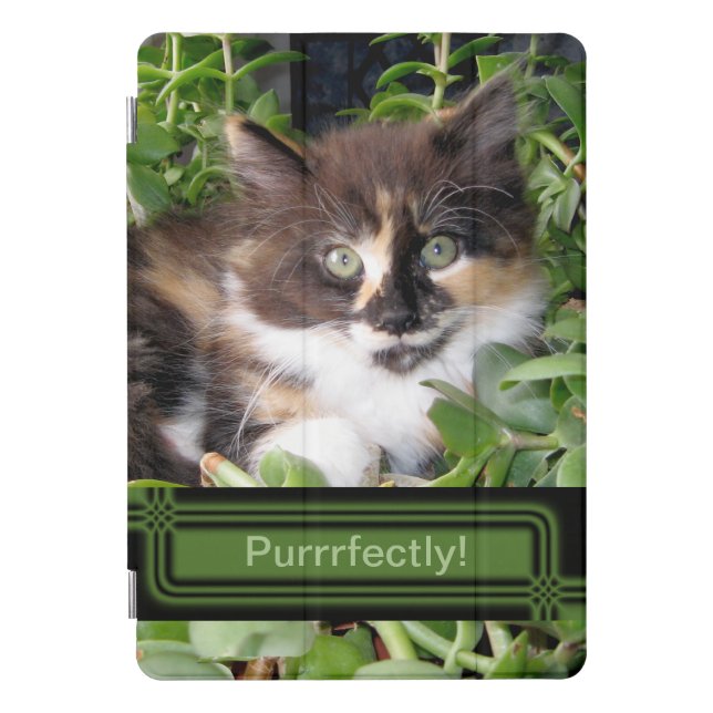 Cat Lover's Calico Kitten iPad Pro Cover (Front)