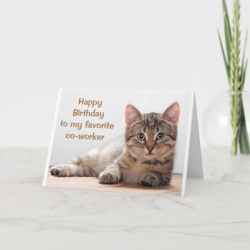 CAT LOVERS CO_WORKERS BIRTHDAY CARD