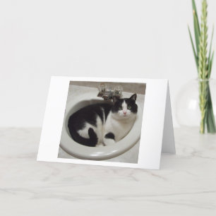 Cat lovers delight card