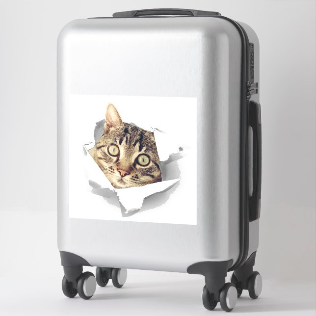 Cat Lovers Face Fun Sticker (Suitcase)