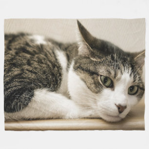 Cat Lovers Fleece Blanket
