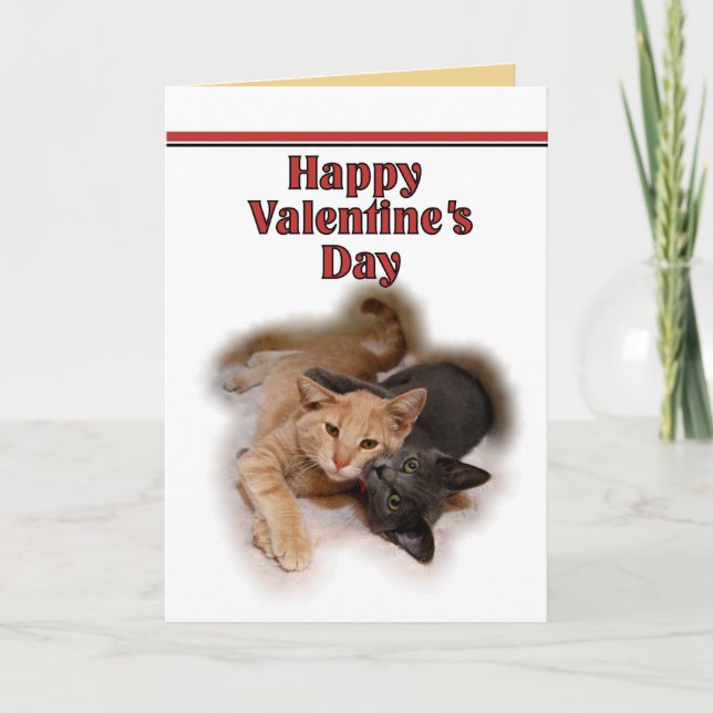Cat Lovers Happy Valentine's Day  Card (Front)