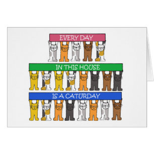 Cat Lover's Humor Cartoon Cards
