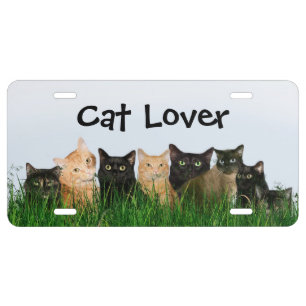 Cat lovers license plate