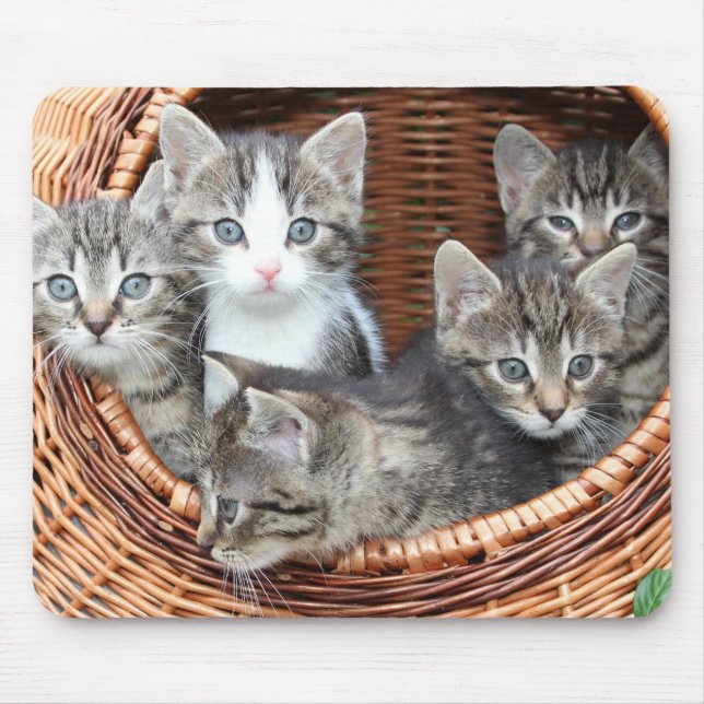 Cat Lovers Mouse Pad (Front)