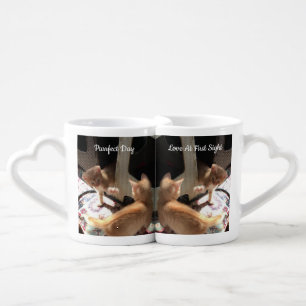 Cat Lovers' Mug