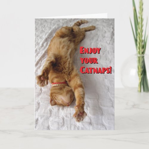 Cat Lovers Retirement Card