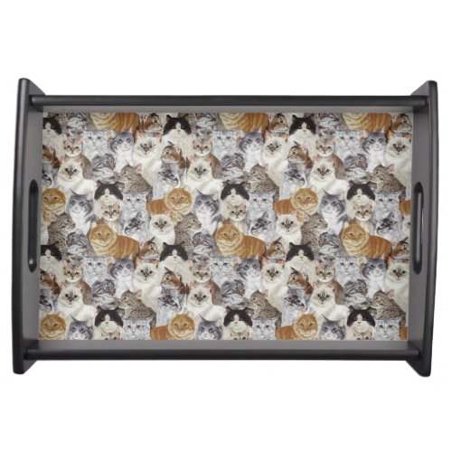 Cat Lovers Serving Tray