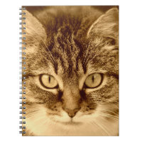 Cat Lovers Spiral Lined Journal Notebook