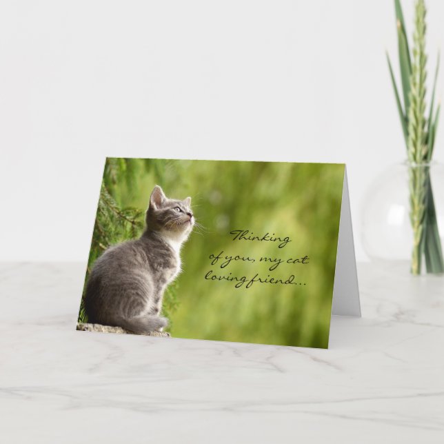 Cat loving friend thinking of you greeting card (Front)