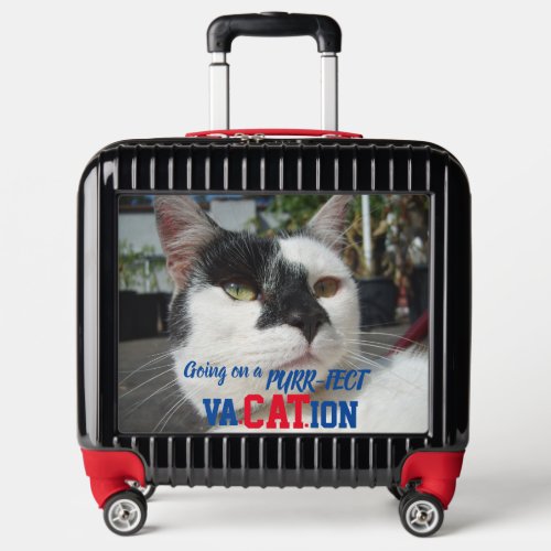Cat Luggage Purr_fect VaCATion Adventure Luggage 