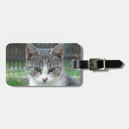 cat luggage tag