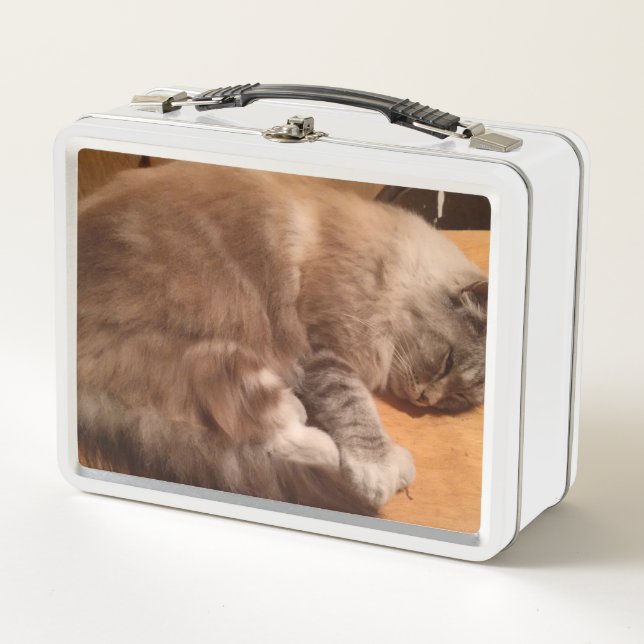 Cat Lunch Box (Front)