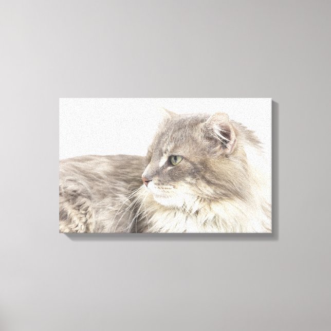 Cat lying down canvas print (Front)
