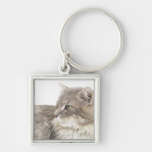 Cat lying down keychain