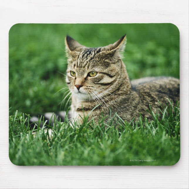 Cat lying in grass mouse pad (Front)