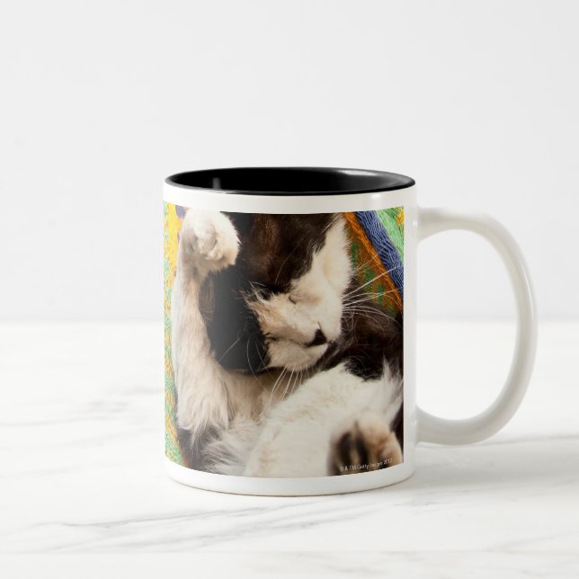 Cat lying in Mayan Mexican hammock Two-Tone Coffee Mug (Right)