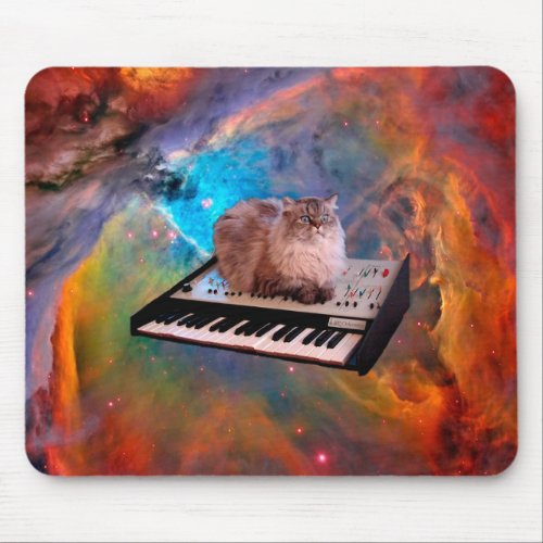 Cat lying on a keyboard in the space mouse pad
