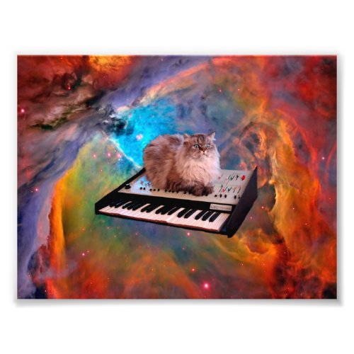 Cat lying on a keyboard in the space photo print