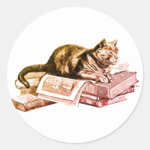 Cat Lying On A Stack Of Bookd Classic Round Sticker