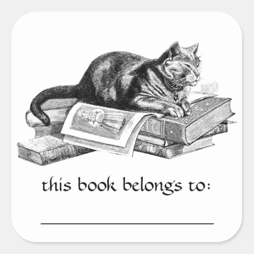 Cat Lying On Books Bookplate Stickers