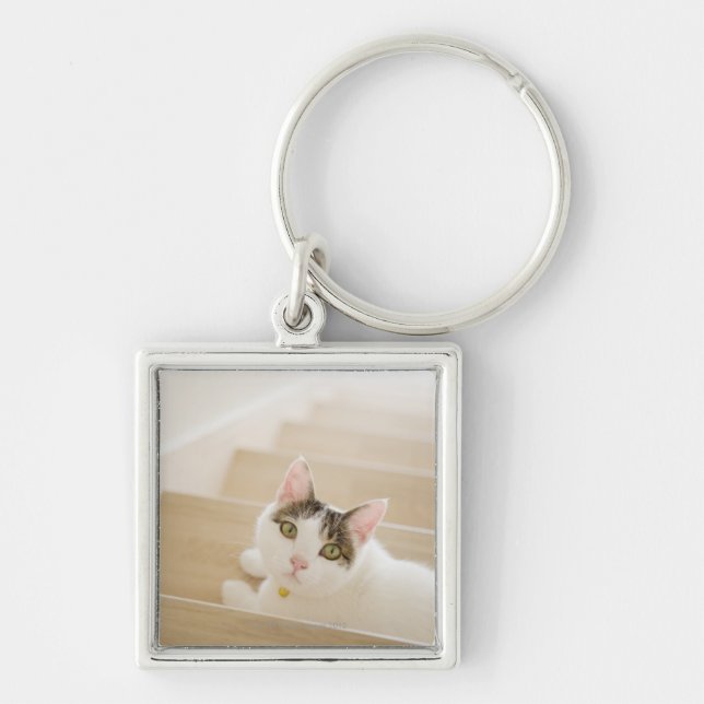 Cat lying on stairs keychain (Front)