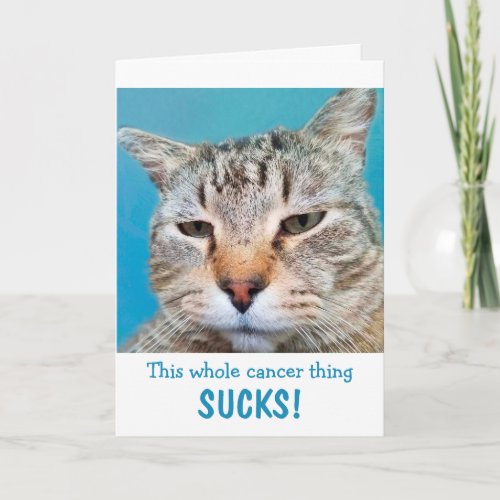 Cat Mad At Cancer Funny  Card