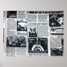 Cat Magazine