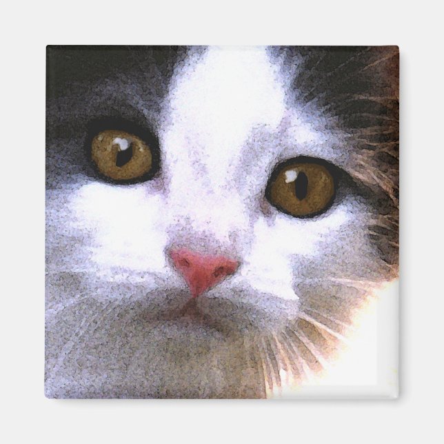 Cat Magnet (Front)