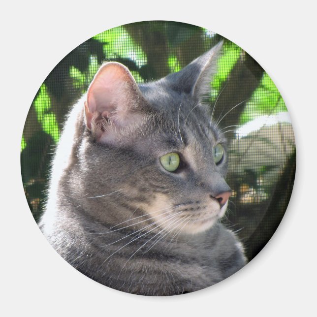 Cat Magnet (Front)