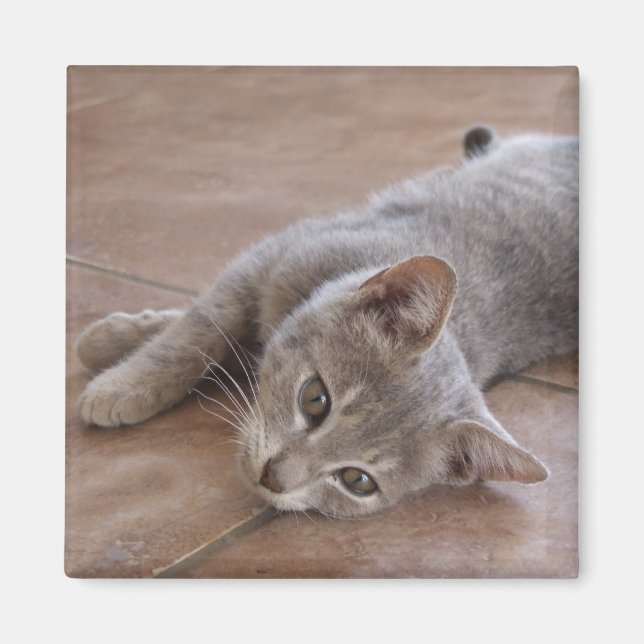 Cat Magnet (Front)