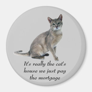 Cat Magnet