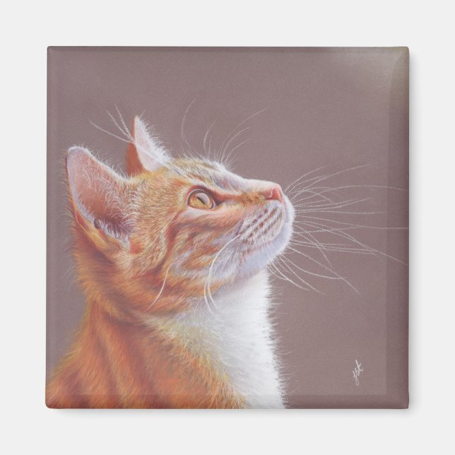 Cat  magnet (Front)