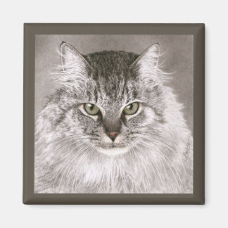 Cat Magnet - "Merlin"