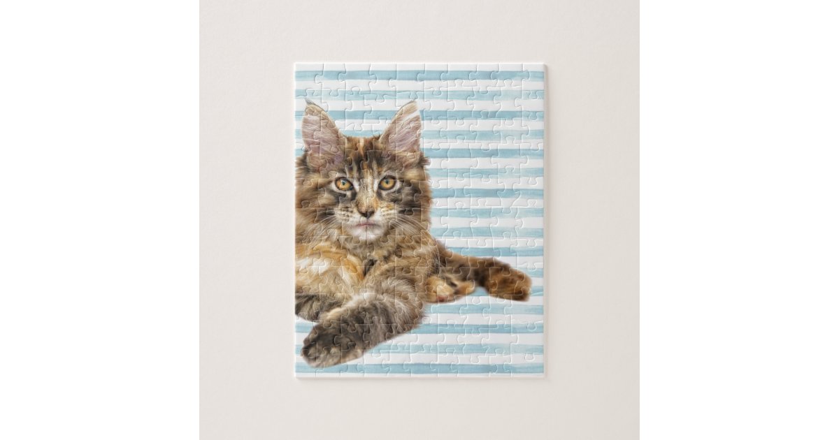 Cat, Maine Coon Jigsaw Puzzle | Zazzle